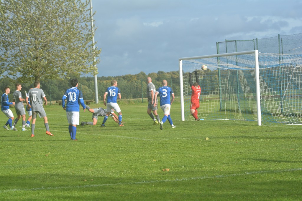 dsc 1381 20251005 1093212027