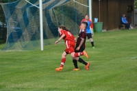 2016-06-04 SF Bieswang - SV Pfaffenhofen 3-0