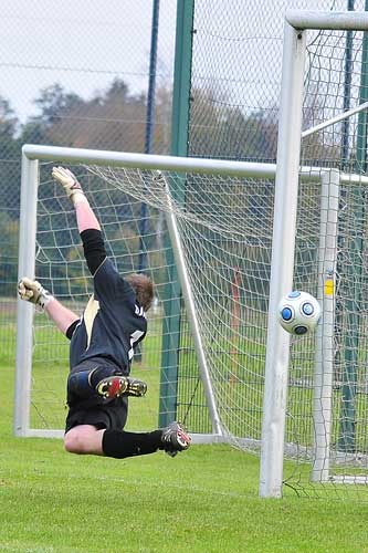 121014 sfb-pollenfeld-05