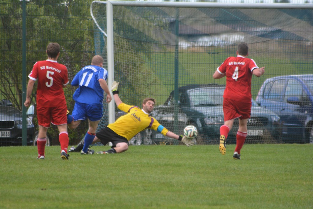 Saison 2016-2017 Bilder