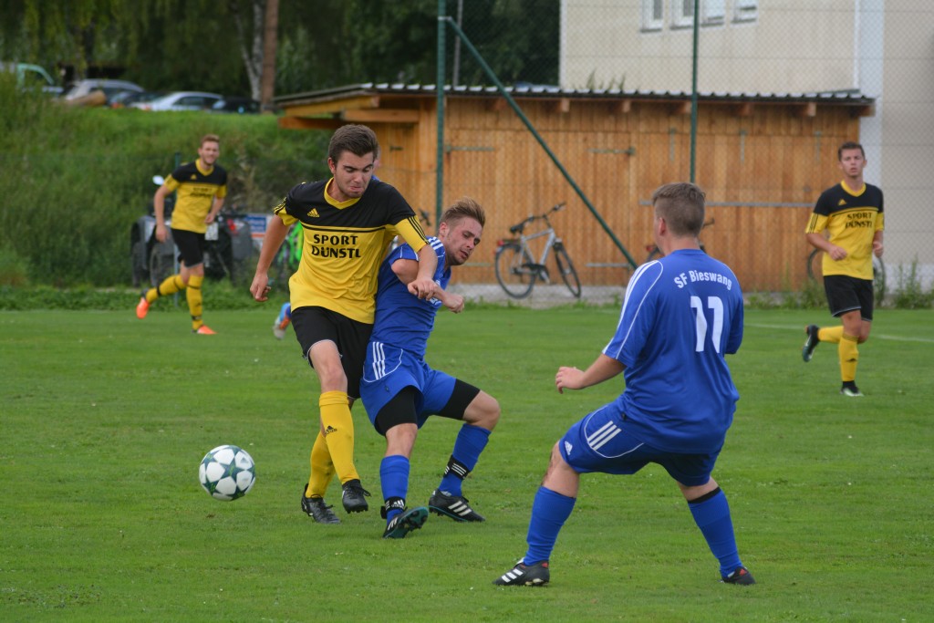 2017-08-13 SpVgg Wellheim - SF Bieswang 7-0