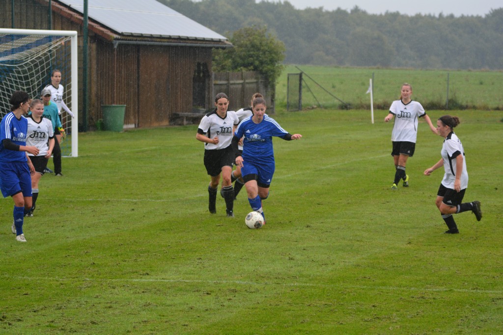 WS_068823