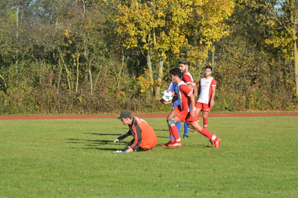 2017-10-15 FC Türk-Gücü-Eichstätt - SF Bieswang 2-0