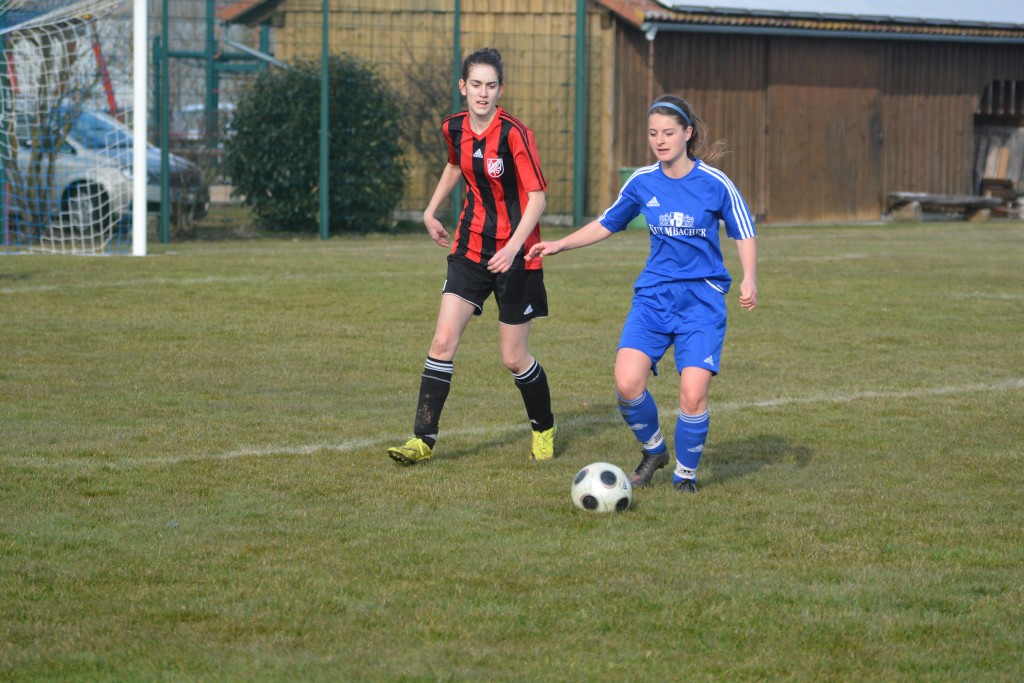2018-03-31 SF-Bieswang - TSV-Wolfstein 2-0