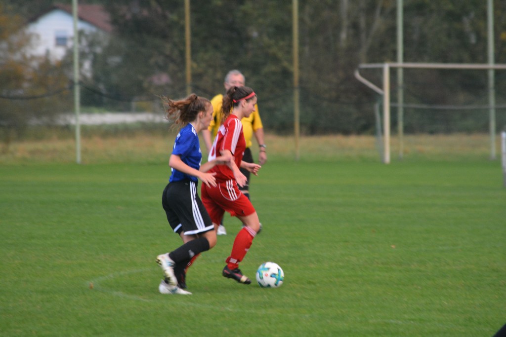 WS_072266