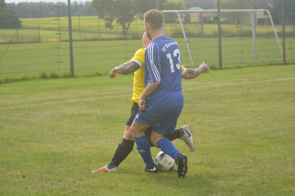 WS-81365