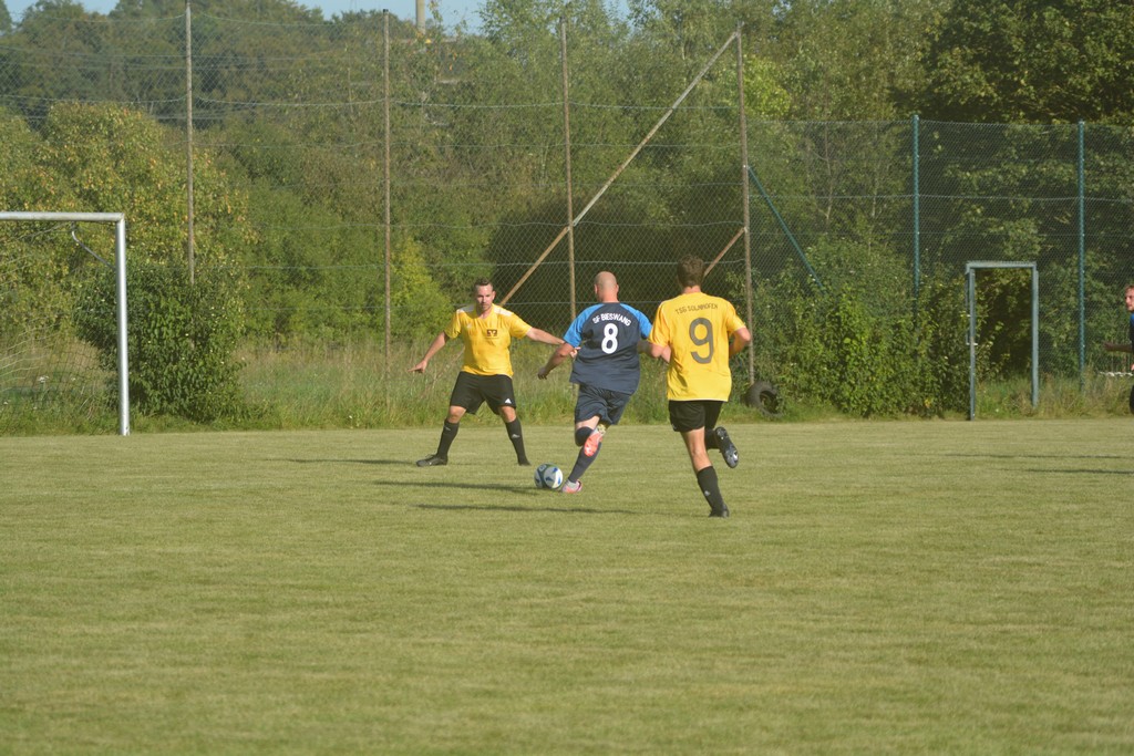 DSC_6462
