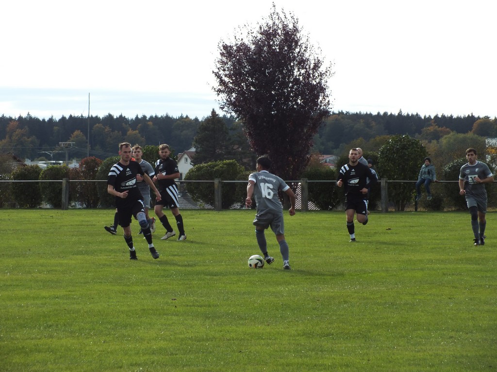 S0255353