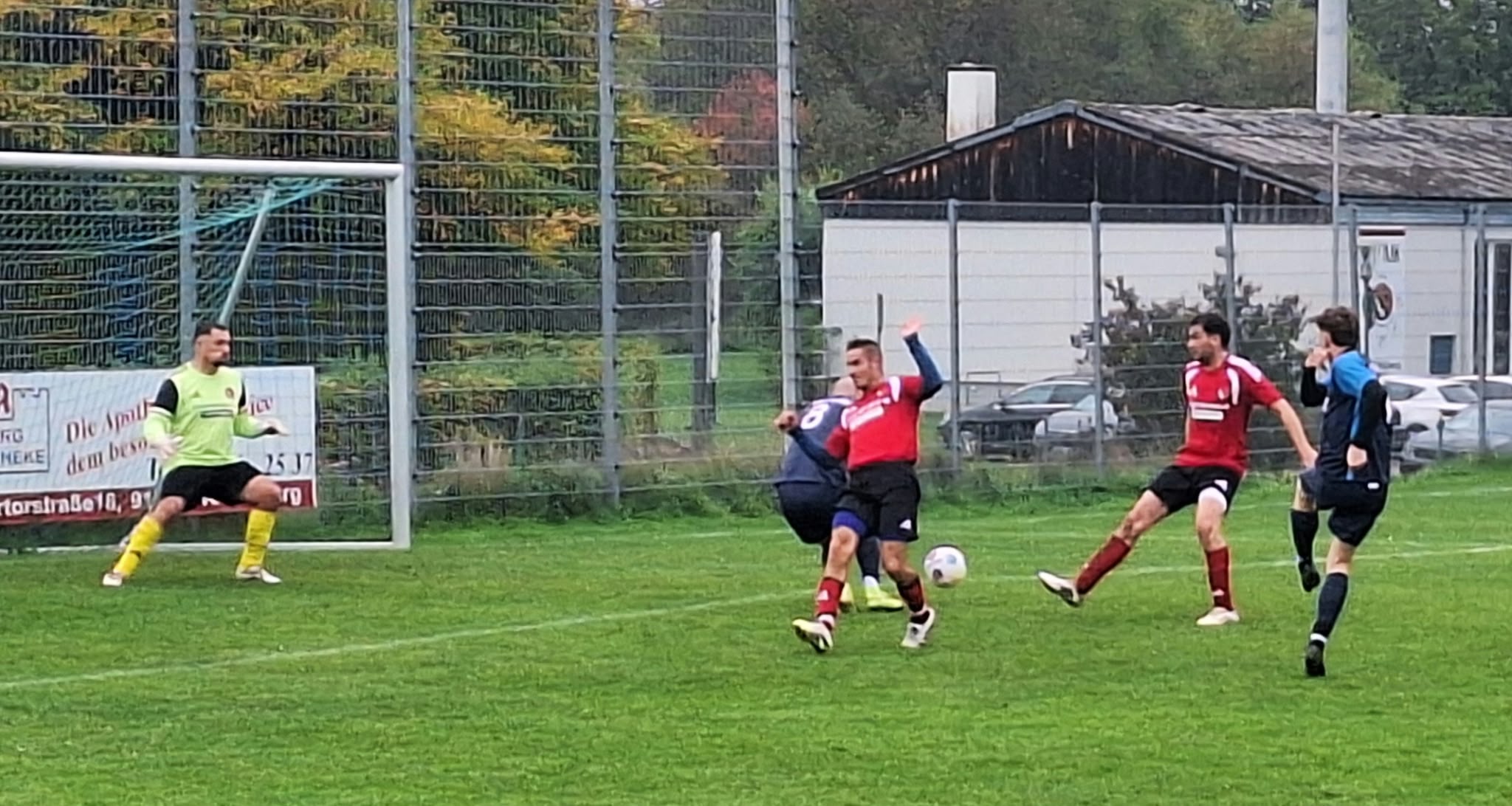 Bild-4