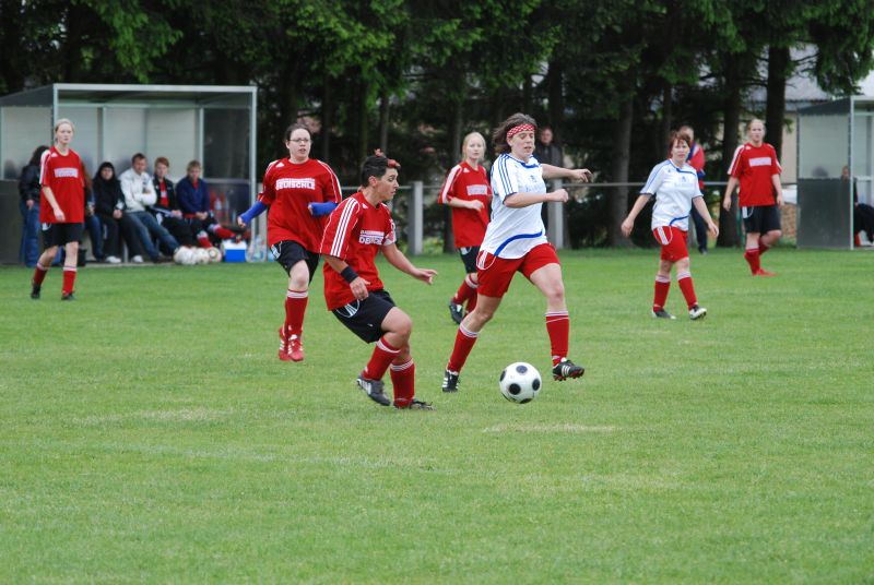 WS_044008