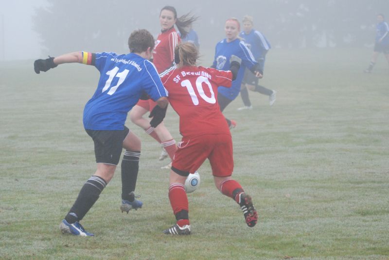 2012-11-17 SF Bieswang - SV Pfaffenhofen 2-1
