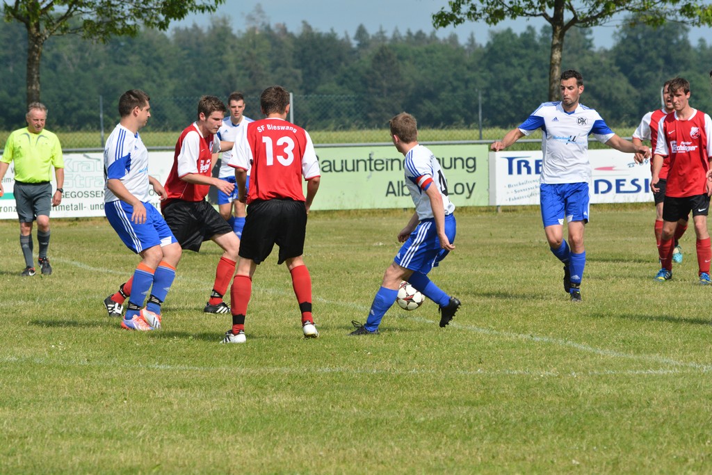 2015-06-07 SF Bieswang - DJK Schernfeld 2-0