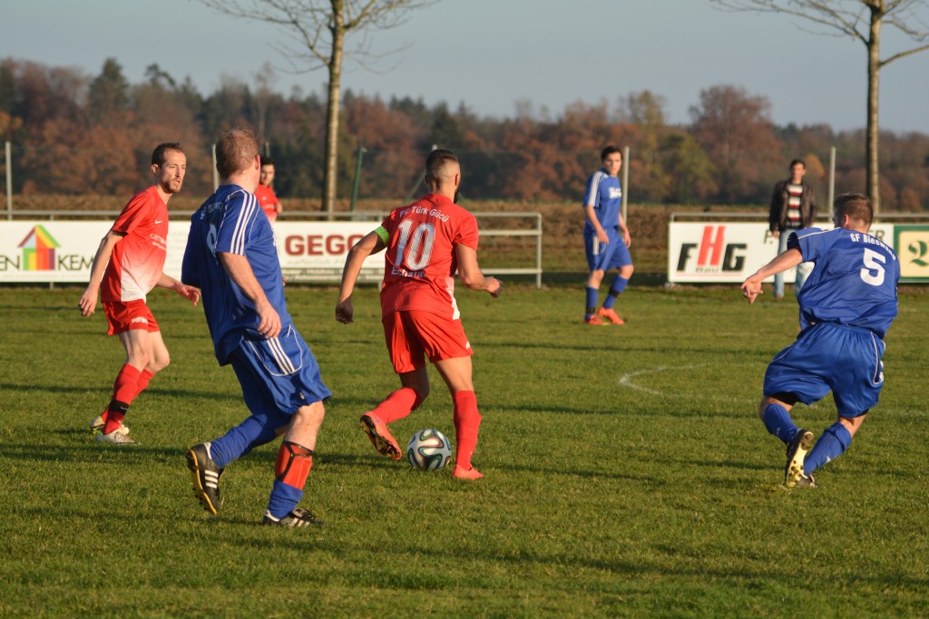 2015-11-08 SF Bieswang - FC TürkGücü Eichstätt 1-1